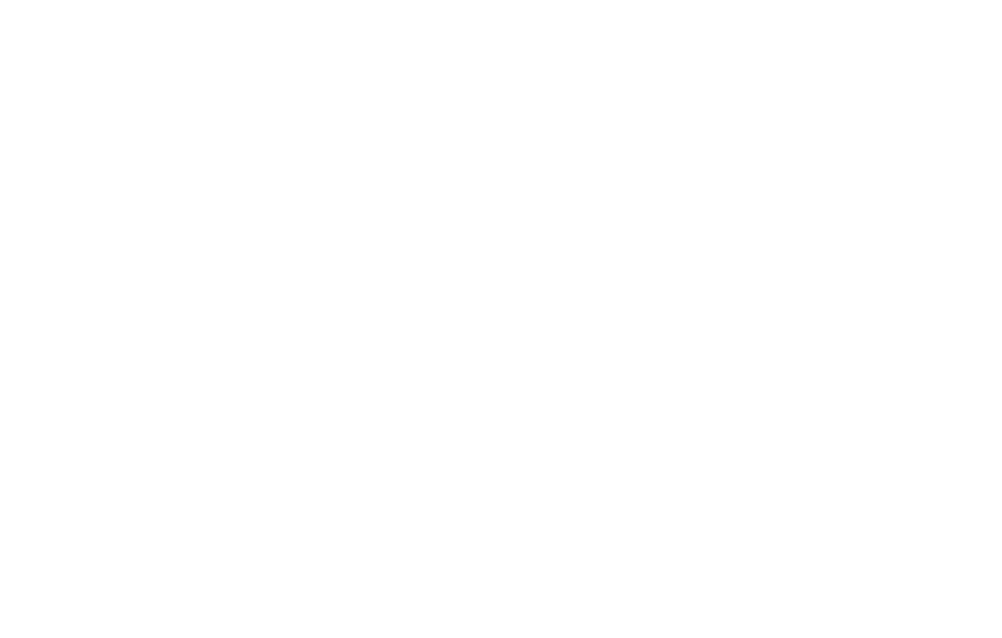 IBG Academy logo